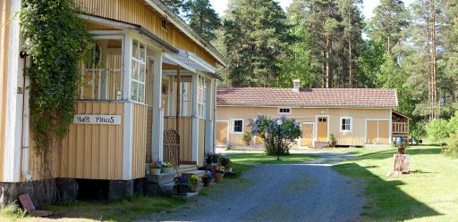 Artikkeli kuva