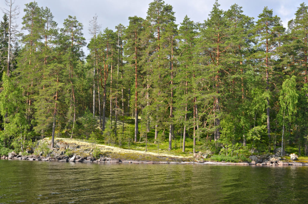 Suomensalo esker terrain - Saimaa Geopark