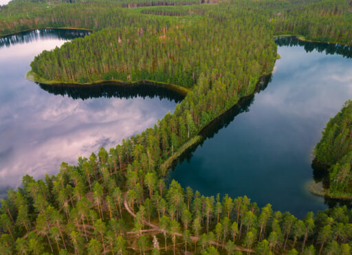 Rokansaari