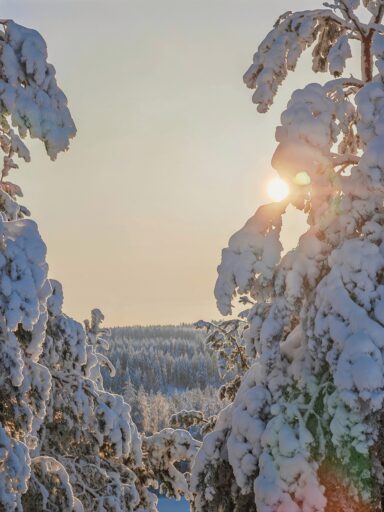 Winter scenery from Myllimäki in Joutseno neighbourhood, Lappeenranta. Photo credit goSaimaa