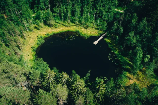 🌎𝐆𝐞𝐨𝐩𝐚𝐫𝐤 𝐄𝐱𝐜𝐮𝐫𝐬𝐢𝐨𝐧🌎

Tätä kaikkea on uusi kiertomatka läpi kahden ainutlaatuisen Unesco Global Geoparkin! 

👉🏽7 päivän aikana tutustut Suomen järvialueen, Saimaa ja Salpausselkä Geoparkien monipuolisiin kohteisiin. Matka tarjoaa mahdollisuuden kokea Suomen luonnon monimuotoisuus sekä oppia alueen geologisesta historiasta. 

👉🏽Matkareitti on suunniteltu huolellisesti tarjoamaan mahdollisimman monipuolisia ja unohtumattomia kokemuksia. 

👉🏽 Voit mukauttaa matkasi oman mielesi mukaan - voit päättää käytkö kaikissa kohteissa vai vain joissakin. 

Linkki Geopark-retkeen biossa!
.
.
.
.
#saimaageopark 
#salpausselkägeopark 
#kiertomatka 
#geoparkexcursion
#unescoglobalgeopark 
#LakelandFinland