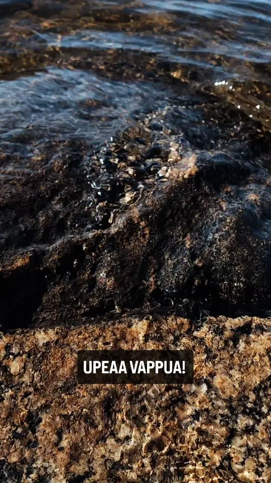Kuultiin jo kesän lupauksia Saimaalta ja Vapun toivotuksia kaikilta! 🥳

#luontoherää #saimaageopark #unescoglobalgeopark #lakesaimaa #soundofsaimaa #finnishgeoparks #europeangeoparks #1may #vappu #saimaamoments
