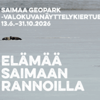 Artikkeli kuva